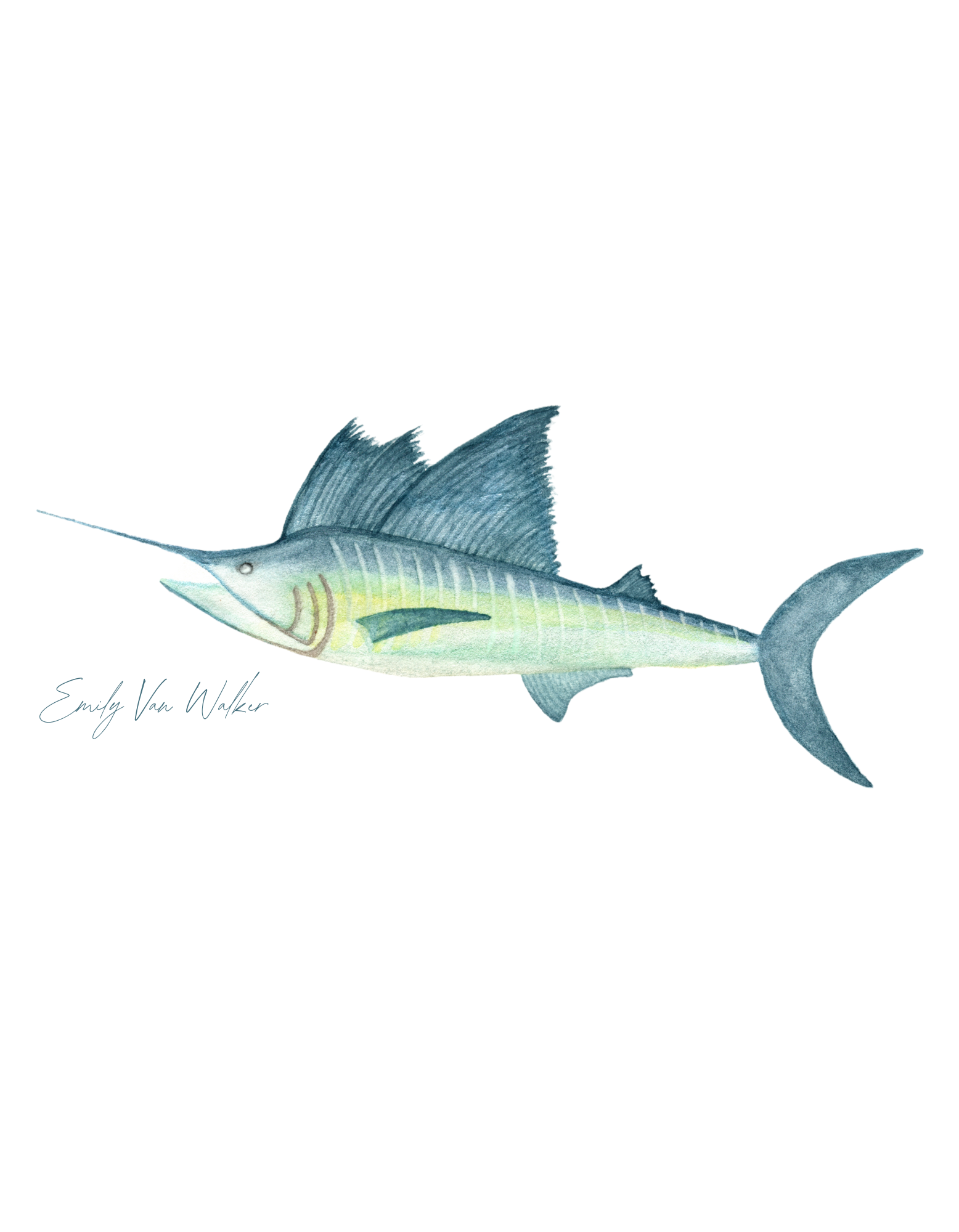 Sailfish Away